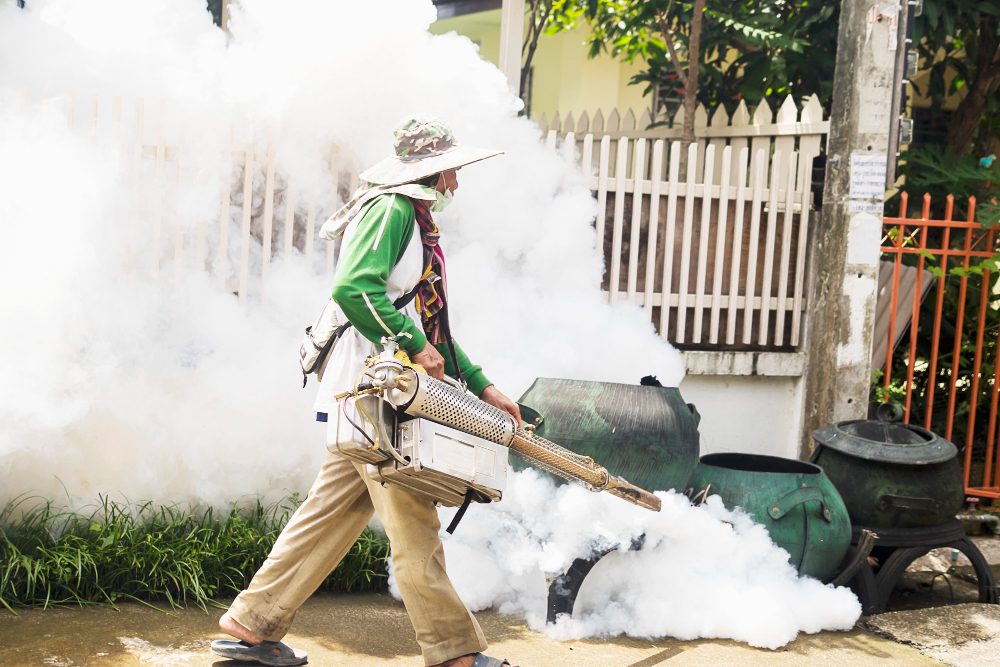 Fire & Smoke Damage Restoration Services
