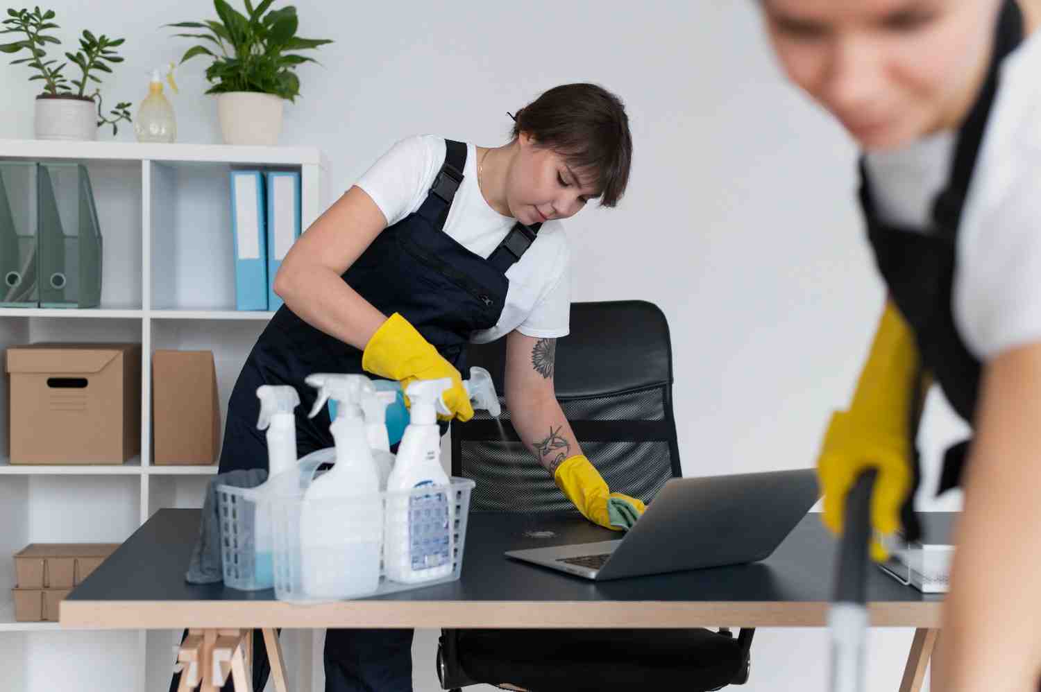 Content Cleaning and Restoration Services