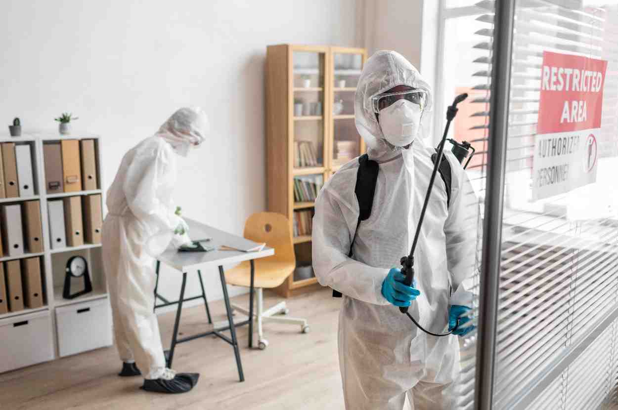 Mold Prevention Treatment: Long-Term Protection for Your Home or Business