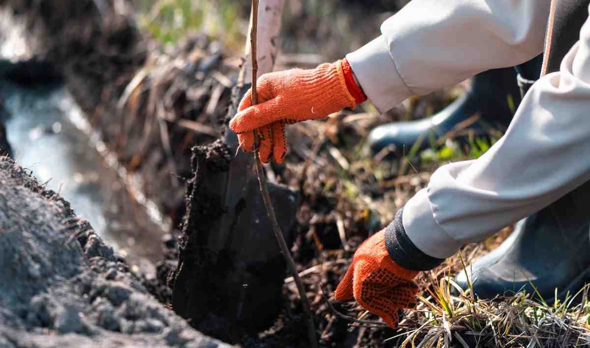 Sewage Backup Cleanup Services in Denver | Fast Response Restoration